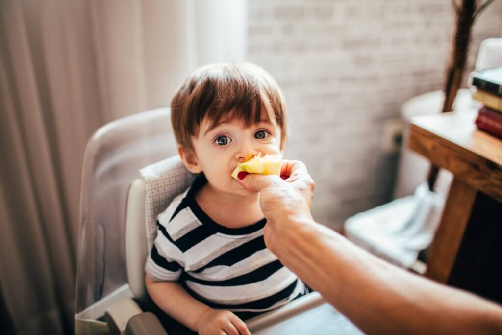Toddler lunch ideas
